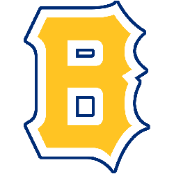 Boston Bees Primary Logo