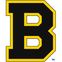  Men's Boston Bruins Vintage B Logo Headline Imprint