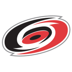 Nashville Predators Vibrant Official Team Logo Bumper Sticker Decal Decor  NHL