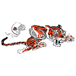 Cincinnati Bengals' 'White Bengal' video features leaping tiger logo