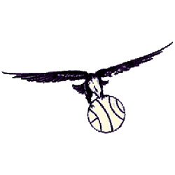 St. Louis Hawks Primary Logo