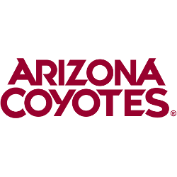 Arizona Coyotes Hawaiian Retro Logo NHLTropical Beach Men And