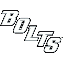 Tampa Bay Lightning Wordmark Logo