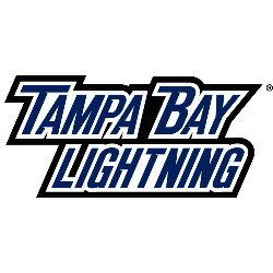 Tampa Bay Lightning 19 X 30 Alternate logo with Wordmark Starter Rug