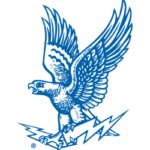 air force falcon logo