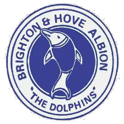 Brighton & Hove Albion Logo and symbol, meaning, history, PNG, brand
