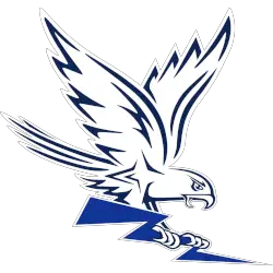 Air Force Falcons Alternate Logo 2022 - Present