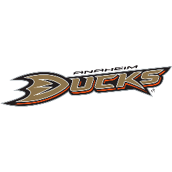 Anaheim Ducks Primary Logo 2007 - 2013