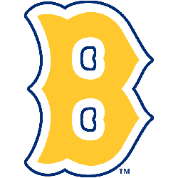 Boston Bees Primary Logo 1936 - 1937