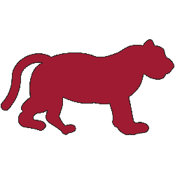 detroit-tigers-primary-logo-1901-1902