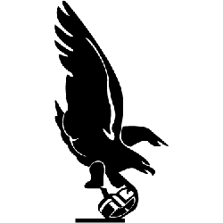 philadelphiapittsburgh-steagles-primary-logo-1943