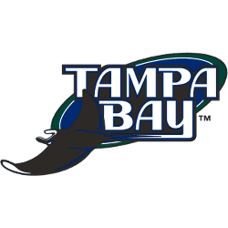 Tampa Bay Rays Secondary Logo Front License Plate – Heads and Tails