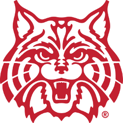 Arizona Wildcats Alternate Logo 1990 - 2007