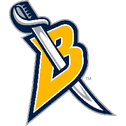 Buffalo Sabres Alternate Logo 2007 - 2012