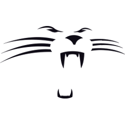Carolina Panthers Alternate Logo 1995 - 2011