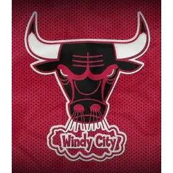 chicago-bulls-alternate-logo-1970-1979