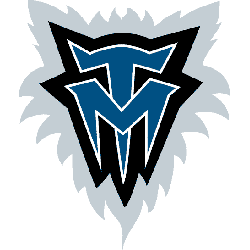 Minnesota Timberwolves Alternate Logo 1997 - 2008