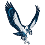 Seattle Seahawks Primary Logo | Sports Logo History