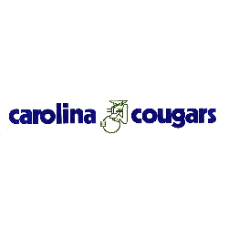 Carolina Cougars Wordmark Logo 1972 - 1974