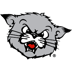 Cincinnati Bearcats Alternate Logo Sports Logo History