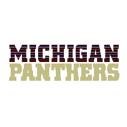 Michigan Panthers Wordmark Logo 1983 - 1984