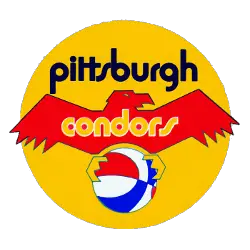 Pittsburgh Condors Primary Logo 1972