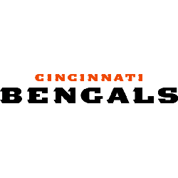 Cincinnati Bengals Wordmark Logo 2004 - 2020