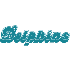 Miami Dolphins Wordmark Logo 1980 - 1996