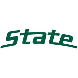 Michigan State Spartans Wordmark Logo 2000 - Present
