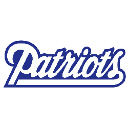 new-england-patriots-wordmark-logo-1993-1999