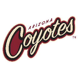 Arizona Coyotes Wordmark Logo 2015 - Present