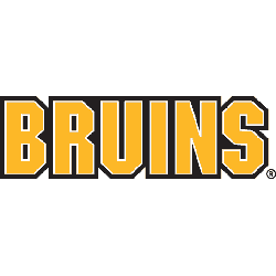 boston-bruins-wordmark-logo-1996-2007-2