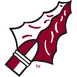 Florida State Seminoles Alternate Logo 1985 - 2013
