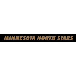 Minnesota North Stars Wordmark Logo 1992 - 1993