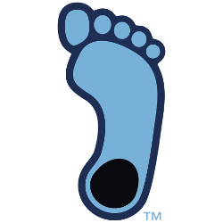 North Carolina Tar Heels Alternate Logo 2015 - Present