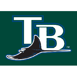 Tampa Bay Devil Rays Wordmark Logo 2005 - 2007