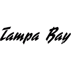 tampa-bay-lightning-wordmark-logo-1999-2007