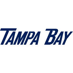 tampa-bay-lightning-wordmark-logo-2008-2010