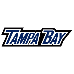 Tampa Bay Lightning Wordmark Logo 2008 - 2010