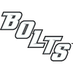 Tampa Bay Lightning Wordmark Logo Sports Logo History
