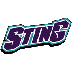 charlotte-sting-wordmark-logo-1997-2003
