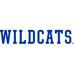 Kentucky Wildcats Wordmark Logo 2016 - Present