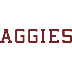 texas-am-aggies-wordmark-logo-2000-2009-5