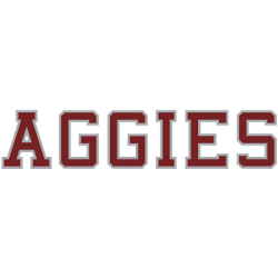 texas-am-aggies-wordmark-logo-2000-2009-4