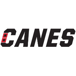 Carolina Hurricanes Wordmark Logo 2019 - Present