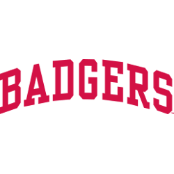 Wisconsin Badgers Wordmark Logo 1991 - 2001