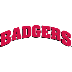 Wisconsin Badgers Wordmark Logo 2002 - Present