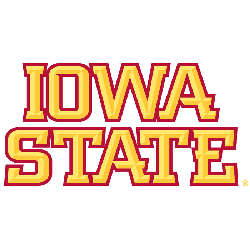 Iowa State Cyclones Wordmark Logo 2007 - Present