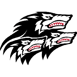 north-carolina-state-wolfpack-alternate-logo-1999-2005-2