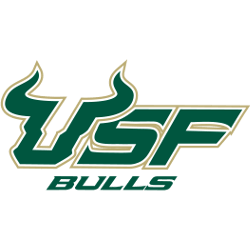 south-florida-bulls-wordmark-logo-2003-2009